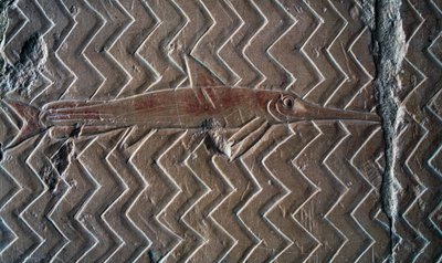 Représentation de poissons, scènes du Royaume de Pount, mur sud de la colonnade centrale, Temple mortuaire d