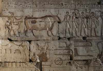 Relief, Temple de Ramsès II, Abydos, Égypte, civilisation égyptienne, Nouvel Empire, Dynastie XIX - Egyptian 19th Dynasty