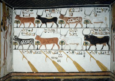 Sept vaches célestes, taureau époux et quatre rames de direction, chapitre 148 du Livre des Morts (détail) - Egyptian 19th Dynasty