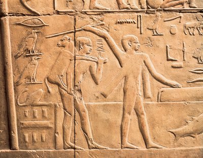 Scènes de travaux agricoles (détail) - Egyptian 4th Dynasty