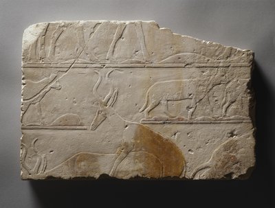 Relief avec animaux du désert, Ancien Empire, trouvé à Saqqarah, c.2472-2455 av. J.-C. - Egyptian 5th Dynasty