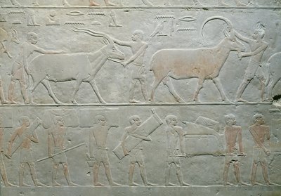Serviteurs conduisant un oryx et une antilope et d