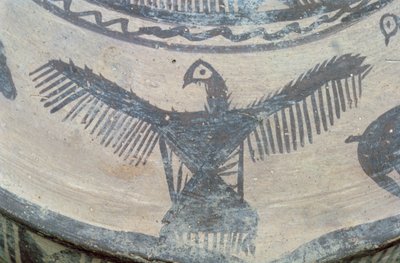 Oiseau de proie aux ailes déployées, de la face supérieure d