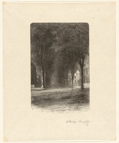 Sans titre [Rue bordée d