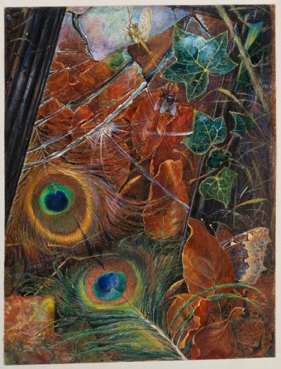 Et un miroir négligé / Et l