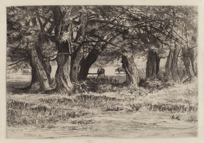 Un groupe de saules - Eleazer Hutchinson Miller