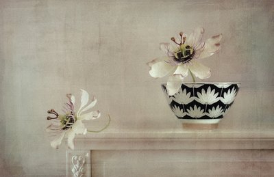 Nature morte à la passiflore - Elena Arjona