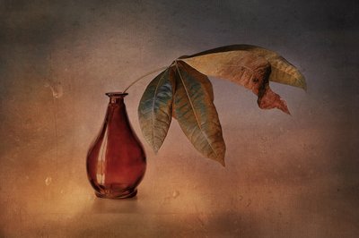 Vase rouge « Feuilles d