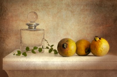 Nature morte vintage à la goyave - Elena Arjona