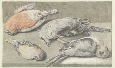 Nature morte avec quatre oiseaux morts - Elias Vonck