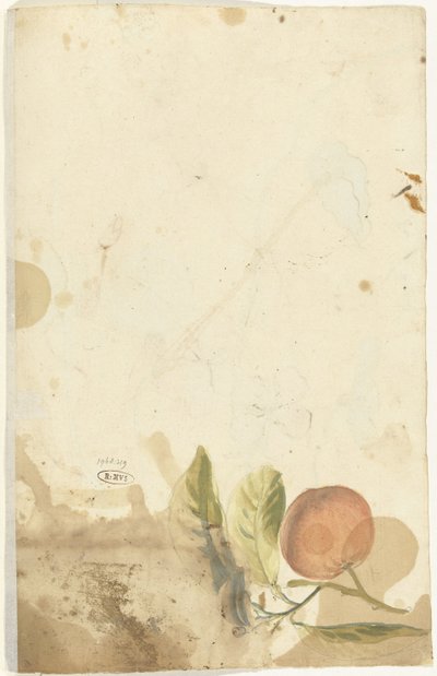 Orange - Elias van Nijmegen