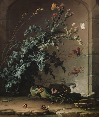 Niche en pierre avec chardon, lézard et insectes, 1690 - Elias van den Broeck