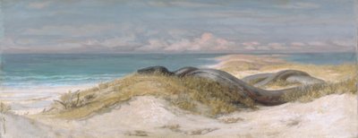Grotte du serpent de mer - Elihu Vedder
