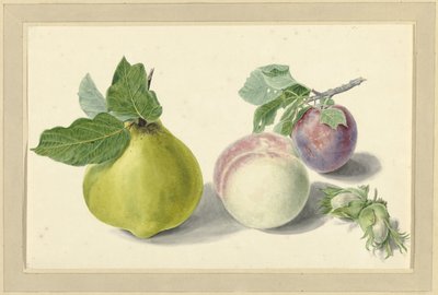 Une poire, une pêche, une prune et des noix - Elisabeth Geertruida van de Kasteele