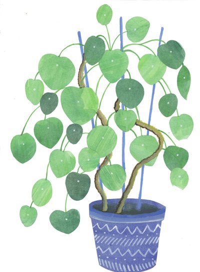 Plante Pilea, 2017 (aquarelle et collage) - Elizabeth Rider