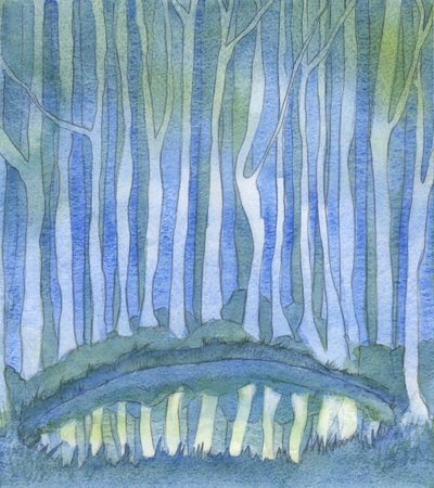 Tout comme une personne dans un bois ne peut voir les profondeurs d
