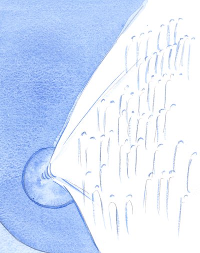 Il y a une célébration au Ciel chaque fois que l