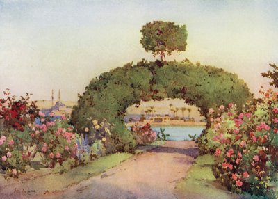 Un jardin de roses à Gizeh, et vue du Caire - Ella Du Cane