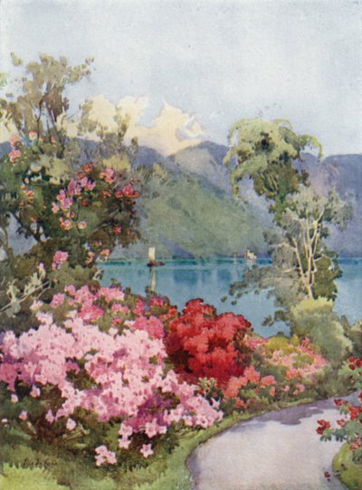Azalées, Lac de Côme - Ella Du Cane