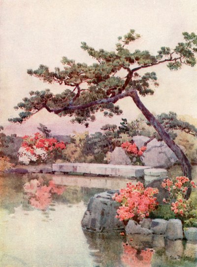 Azalées dans un jardin de Kyoto - Ella Du Cane