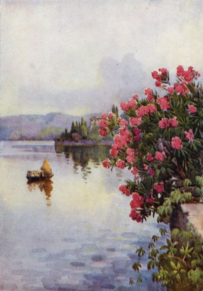 Lauriers roses - Ella Du Cane