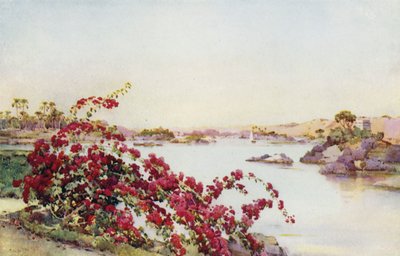 Vue depuis l
