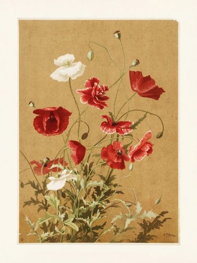 « Poppies n° 3 » d