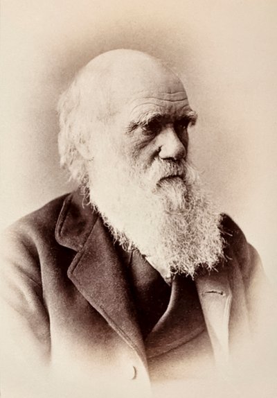 Charles Darwin : naturaliste anglais - Elliott und Fry Studio