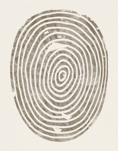Résumé : Les cernes des arbres - Ema Paraschiv