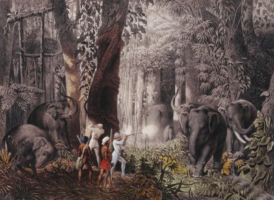 Reise... en Inde Orientale, Ceylan, Java, Chine et Bengale - Emanuel Andrasy