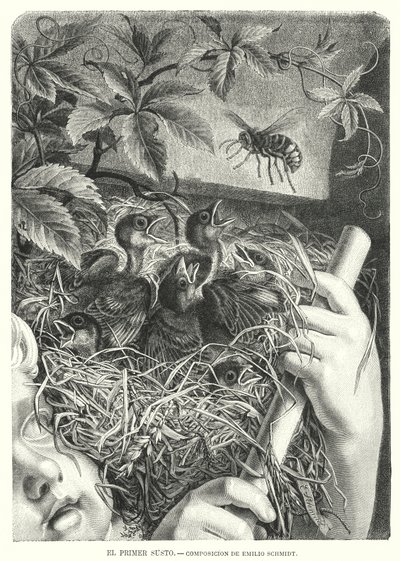 La première frayeur - Emil (after) Schmidt