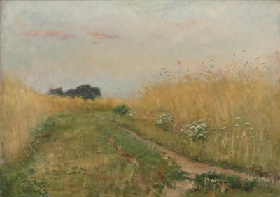 Paysage d