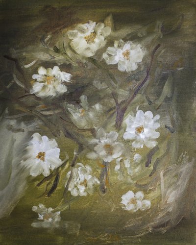 Fleurs blanches délicates - Emily Tingey