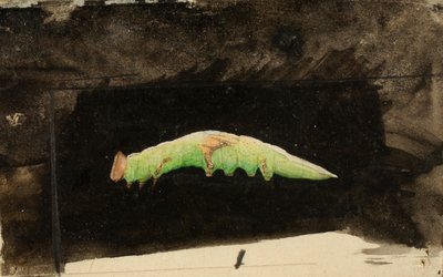 Chenille de la feuille de plage tachetée plus grande..., fin 19e-début 20e siècle - Emma Beach Thayer