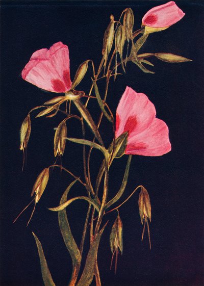 Adieu au printemps, vers 1915 - Emma Graham Clock