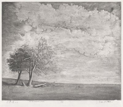 Une lande - Emmanuel Phélippes Beaulieu