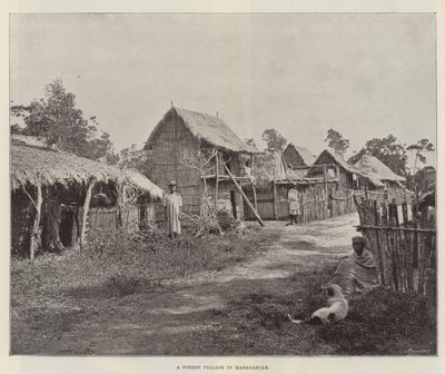 Un village forestier à Madagascar - English Photographer