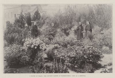 Un havre de paix, le jardin du couvent à Bloemfontein, utilisé comme hôpital - English Photographer
