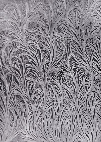 Étude des cristaux de givre sur une vitre (photo n/b) - English Photographer