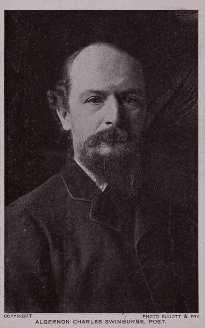 Algernon Charles Swinburne, poète et dramaturge anglais - English Photographer
