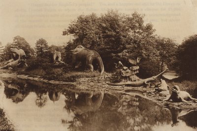 Animaux antédiluviens - English Photographer