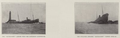 Marin à terre - English Photographer