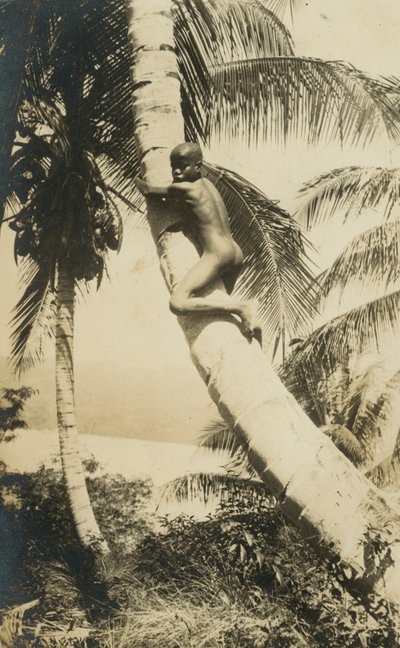Garçon grimpant à un arbre, Constant Bay, Jamaïque - English Photographer