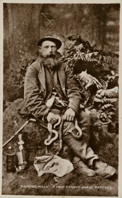 Brusher Mills, un attrapeur de serpents de la New Forest - English Photographer
