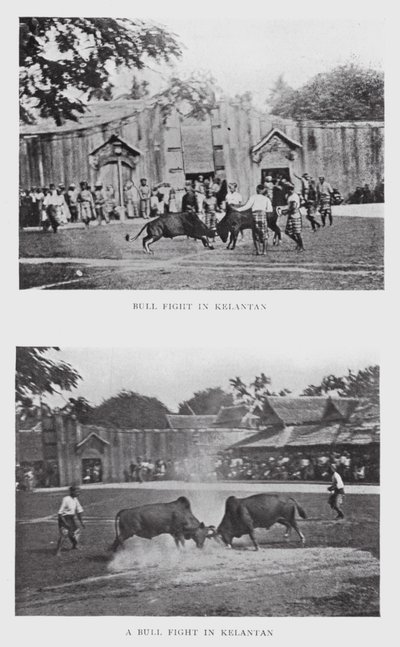 Corrida à Kelantan - English Photographer