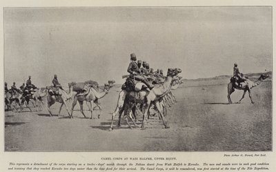 Corps de chameaux à Wadi Halfeh, Haute-Égypte - English Photographer