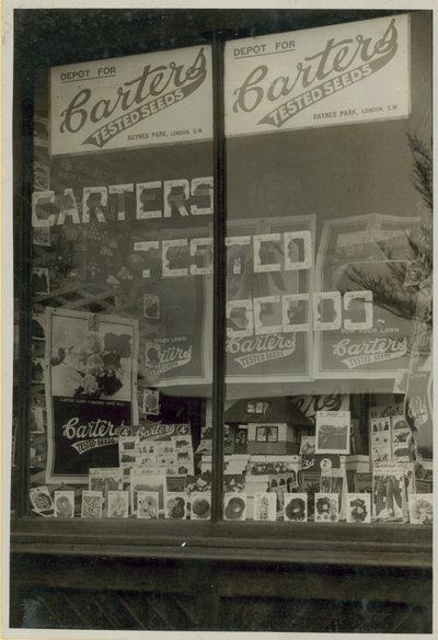 Affichage de graines testées Carters - English Photographer