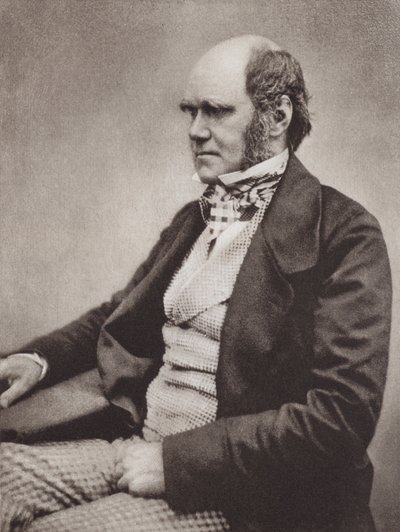 Charles Darwin, portrait, vers 1854, d