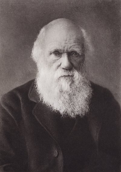 Charles Darwin, portrait, vers 1880 (photo n/b) - English Photographer