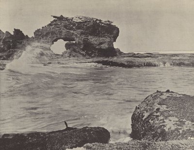 Scène côtière, Bridgewater - English Photographer